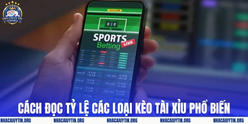 Cách đọc tỷ lệ các loại kèo tài xỉu phổ biến